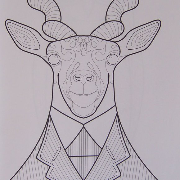 Download Design Originals Office Design Originals Dapper Animal Coloring Book New Poshmark
